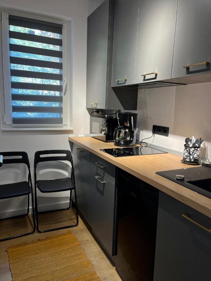Alexander Cozy Apartment Free Private Parking Mediaş Exteriör bild