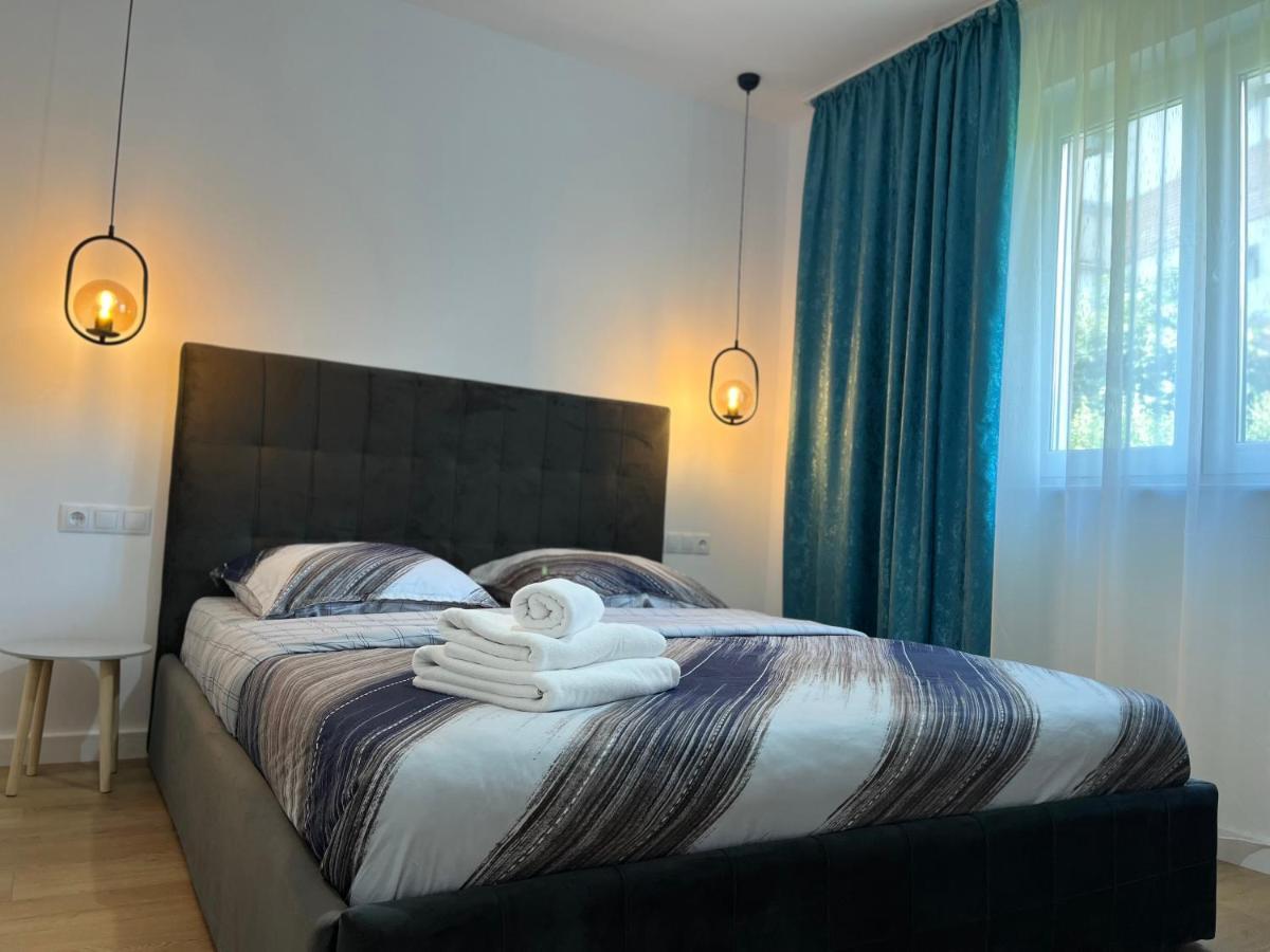 Alexander Cozy Apartment Free Private Parking Mediaş Exteriör bild